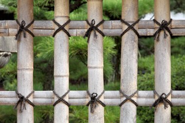 Japon bahçe bambu çit