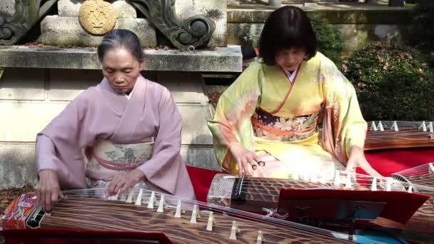 Mujeres japonesas tocando el instrumento tradicional koto — Vídeo de stock