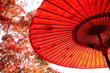 Japon geleneksel kırmızı şemsiyesi