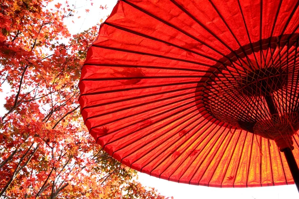 Guarda-chuva vermelho tradicional japonês — Fotografia de Stock