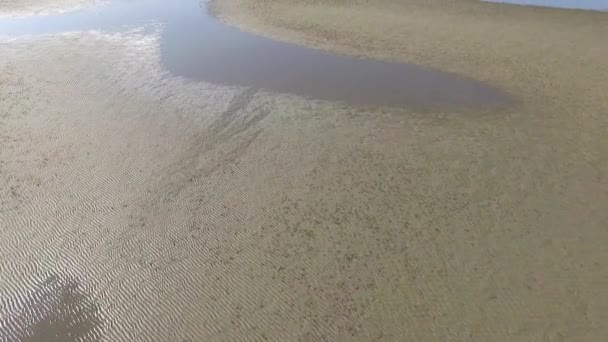Marée littorale — Video