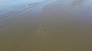 Deniz kıyısı tideland dalgalar ile