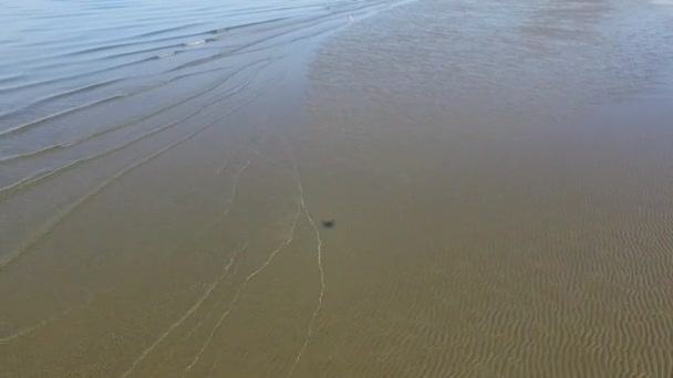 Tideland de la costa con olas — Vídeo de stock