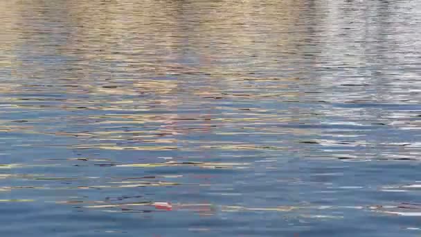 Fondo ondulado de agua de mar — Vídeo de stock