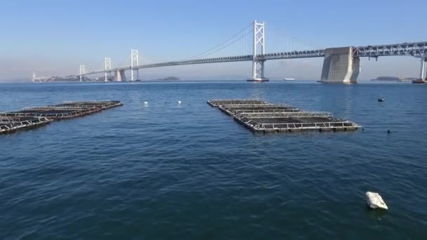 Vista aérea del puente de la autopista — Vídeo de stock