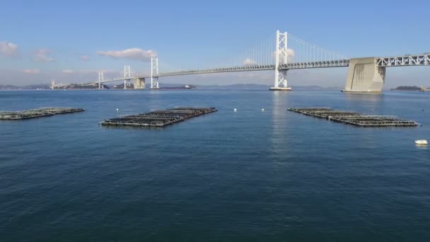 Letecký pohled na dálniční most — Stock video