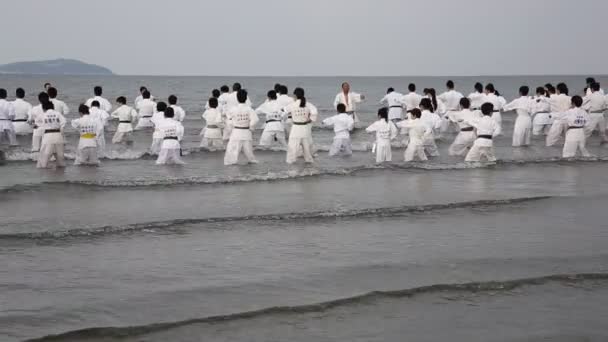 Japonés karate artes marciales entrenamiento en la playa — Vídeo de stock