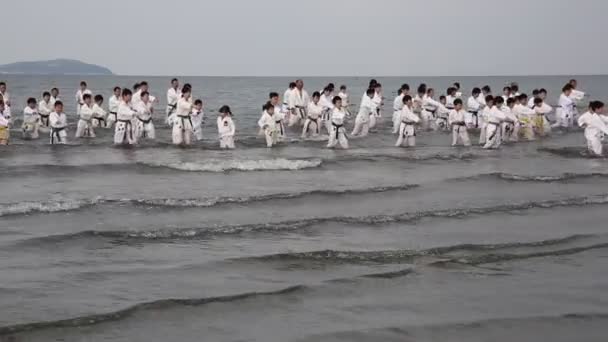 Japonés karate artes marciales entrenamiento en la playa — Vídeo de stock