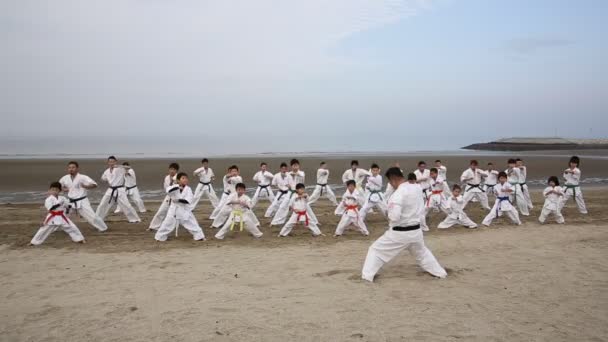 Japonés karate artes marciales entrenamiento en la playa — Vídeo de stock