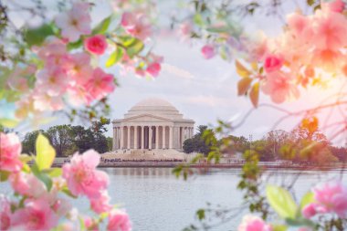 Çocuklar dağlarda sallanıyor.