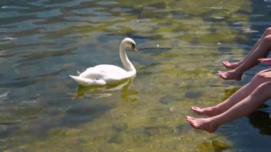 Idyllic Hallstatt mit Spiegelung im See Wasser - eski kasaba, Avusturya. Büyük Panorama - 4K Video.