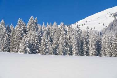 The new deep snow on the wall in the mountains, a walk in the sun and snow. Big panorama wit copy space.