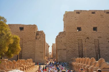 22.10.2024, Mısır, Luxor - Karnak Hypostyle Salon sütunları Luxor Thebes tapınağında