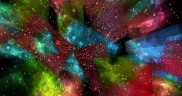 추상적 애니메이션 Multicolor Beautiful Digital Painting Movie Abstract Background Movie — 비디오