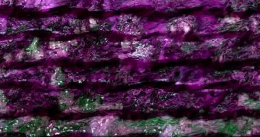 Soyut renkli animasyon. Çok renkli sıvı arka plan. Güzel dijital resim filmi, soyut arkaplan filmi.