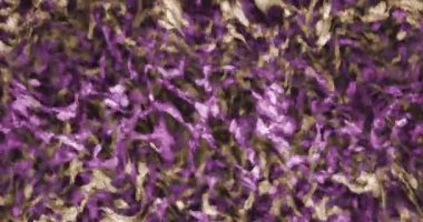 Soyut renkli animasyon. Çok renkli sıvı arka plan. Güzel dijital resim filmi, soyut arkaplan filmi.