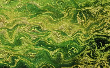 Soyut arkaplan, soyut modern resim. Dijital modern arkaplan. Renkli arkaplan çizimi. Desenli arkaplan, dijital boyalı soyut tasarımı, renkli grunge dokusu, Geometrik sanat tasarımı, Watercolor soyut tasarımı.