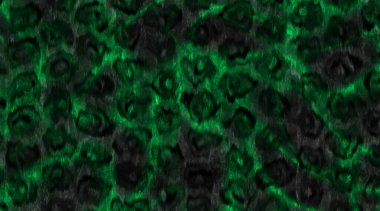 Soyut arkaplan, soyut modern resim. Dijital modern arkaplan. Renkli arkaplan resmi. Desenli arkaplan, dijital boyalı soyut tasarımı, renkli grunge dokusu, 3d soyut.