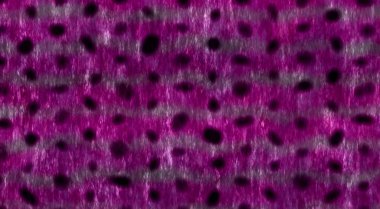 Soyut arkaplan, soyut modern resim. Dijital modern arkaplan. Renkli arkaplan resmi. Desenli arkaplan, dijital boyalı soyut tasarımı, renkli grunge dokusu, 3d soyut.