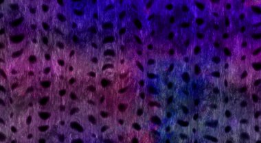 Soyut arkaplan, soyut modern resim. Dijital modern arkaplan. Renkli arkaplan resmi. Desenli arkaplan, dijital boyalı soyut tasarımı, renkli grunge dokusu, 3d soyut.