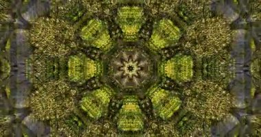 Soyut renkli animasyon. Çok renkli sıvı arka plan. Güzel dijital resim filmi, soyut arkaplan filmi.