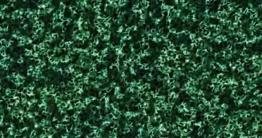 Soyut renkli animasyon. Çok renkli sıvı arka plan. Güzel gradyan dokusu, soyut çok renkli arkaplan