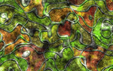 Soyut arkaplan, soyut modern resim. Dijital modern arkaplan. Renkli arkaplan resmi. Desenli arkaplan, dijital boyalı soyut tasarımı, renkli grunge dokusu, 3d soyut.