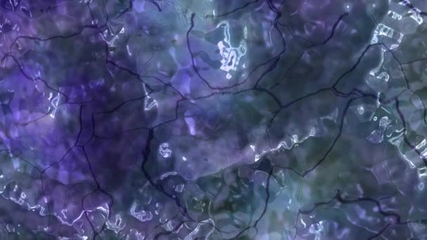 Soyut Renkli Animasyon Çok Renkli Sıvı Arka Plan Güzel Dijital — Stok video