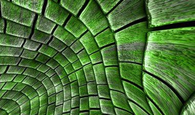 3D illüstrasyon, modern arkaplan illüstrasyonu, fraktal yüzey, ışık efekti dokusu, dijital boyalı soyut tasarımı, renkli doku, fraktal sanat, soyut modern resim, dijital modern arkaplan, renkli görünüm..