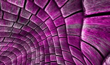 3D illüstrasyon, modern arkaplan illüstrasyonu, fraktal yüzey, ışık efekti dokusu, dijital boyalı soyut tasarımı, renkli doku, fraktal sanat, soyut modern resim, dijital modern arkaplan, renkli görünüm..