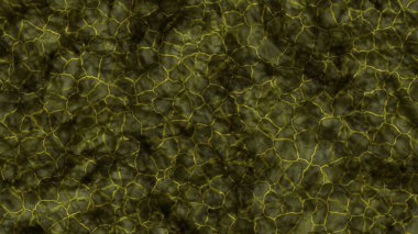 3D illüstrasyon, modern arkaplan illüstrasyonu, fraktal yüzey, ışık efekti dokusu, dijital boyalı soyut tasarımı, renkli doku, fraktal sanat, soyut modern resim, dijital modern arkaplan, renkli görünüm..