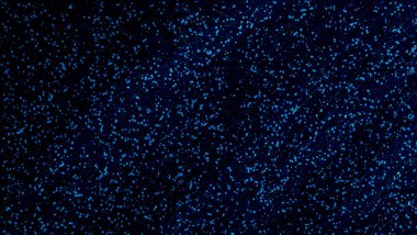 3D illüstrasyon, modern arkaplan illüstrasyonu, fraktal yüzey, ışık efekti dokusu, dijital boyalı soyut tasarımı, renkli doku, fraktal sanat, soyut modern resim, dijital modern arkaplan, renkli görünüm..