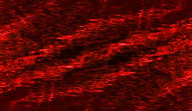 Soyut modern resim. Dijital modern arka plan. Renkli doku. Dijital arkaplan çizimi.
