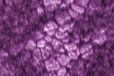 Soyut modern resim. Dijital modern arka plan. Renkli doku. Dijital arkaplan çizimi.