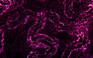 Soyut modern resim. Dijital modern arka plan. Renkli doku. Dijital arkaplan çizimi.