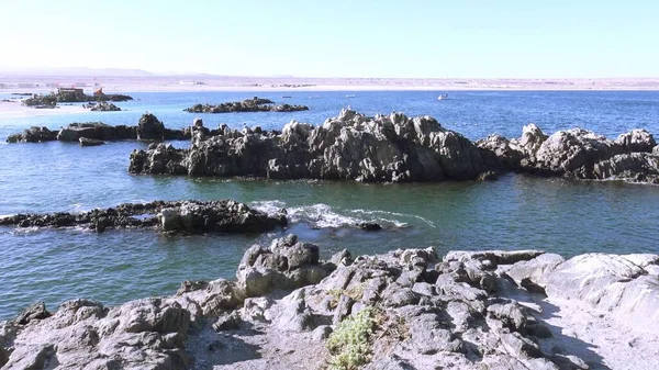 Пейзаж Скелястий Пляж Пляжі Кальдера Чилі — стокове фото