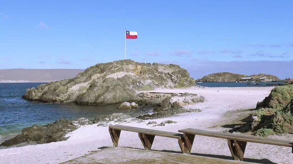 Krajina Skalnatá Pláž Pláži Caldera Chile Stock Obrázky