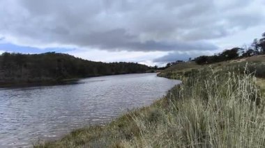 Şili 'deki Patagonya Ulusal Parkı