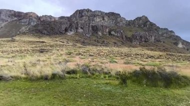 Şili 'deki Patagonya Ulusal Parkı