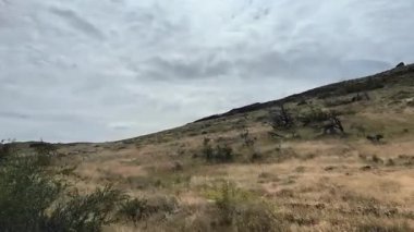 Şili 'deki Patagonya Ulusal Parkı