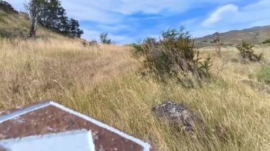 Şili 'deki Patagonya Ulusal Parkı