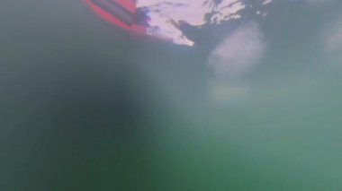 Şili 'deki Patagonya Ulusal Parkı