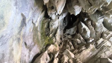 Şili 'deki Patagonya Ulusal Parkı