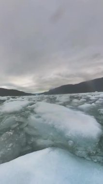 Şili 'deki Patagonya Ulusal Parkı