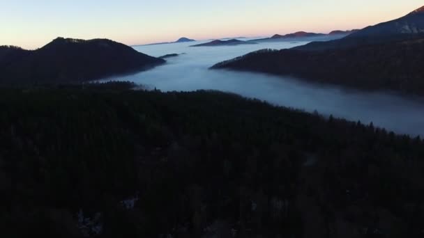 Luchtfoto snelle vlucht over mist bos met gebergte op de achtergrond — Stockvideo