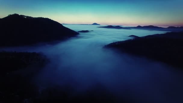 Εναέρια πτήση πάνω από την ομίχλη δάσος με τις αστραπές της θύελλας — Αρχείο Βίντεο