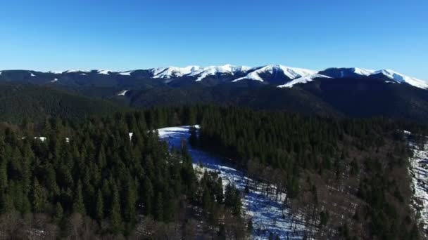 Luchtfoto vlucht over bos met gebergte op de achtergrond, de opheffing van de camera — Stockvideo