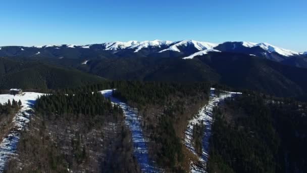 Luftbild Flug über Wald mit Gebirge — Stockvideo