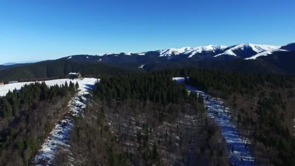 森林与山脉上空的空中飞行，相机胶卷 — 图库视频影像