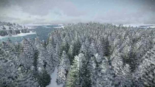 Przelotową przez forest hills i morze, piękny poranek, śnieg — Wideo stockowe